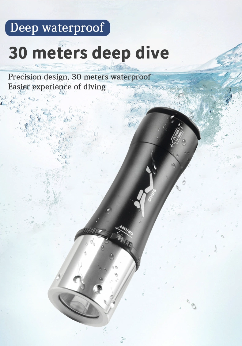 Professional Diving Flashlight Diving Torch LED Flashlight